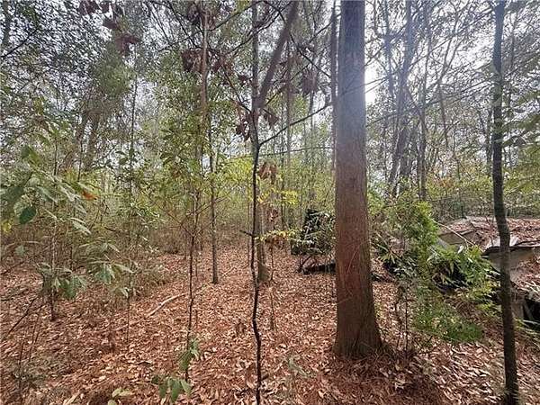 8.17 Acres of Mixed-Use Land for Sale in Ponchatoula, Louisiana