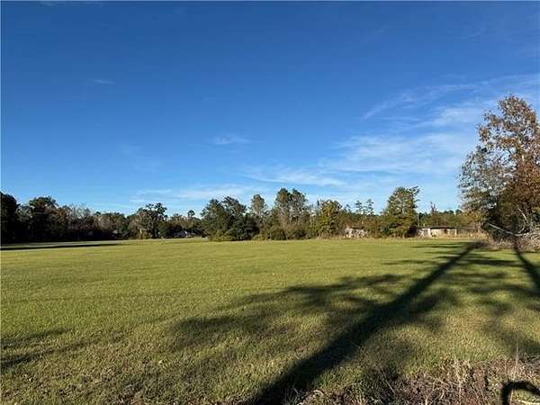 1.33 Acres of Residential Land for Sale in Springfield, Louisiana