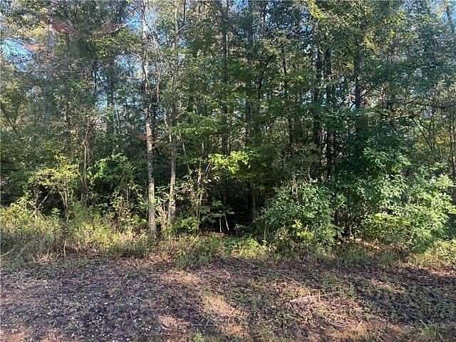 23.8 Acres of Land for Sale in Amite, Louisiana