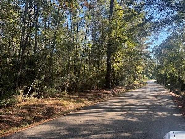 23.8 Acres of Land for Sale in Amite, Louisiana
