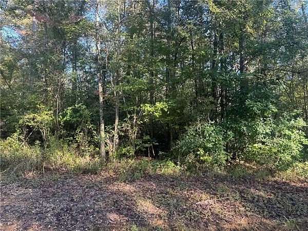 23.8 Acres of Land for Sale in Amite, Louisiana