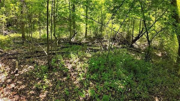 12.2 Acres of Land for Sale in Ronda, North Carolina