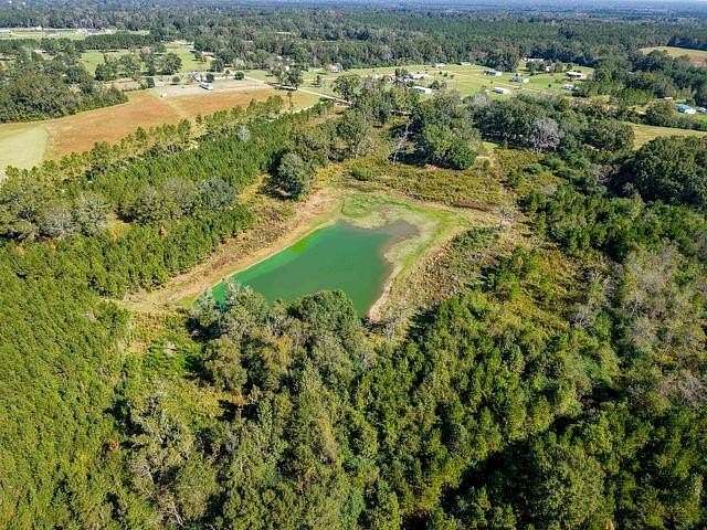 22.3 Acres of Land for Sale in Franklinton, Louisiana