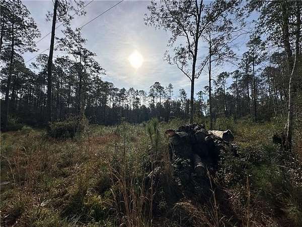 2 Acres of Residential Land for Sale in Covington, Louisiana