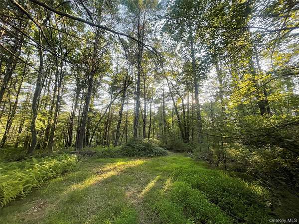 20 Acres of Land for Sale in Barryville, New York
