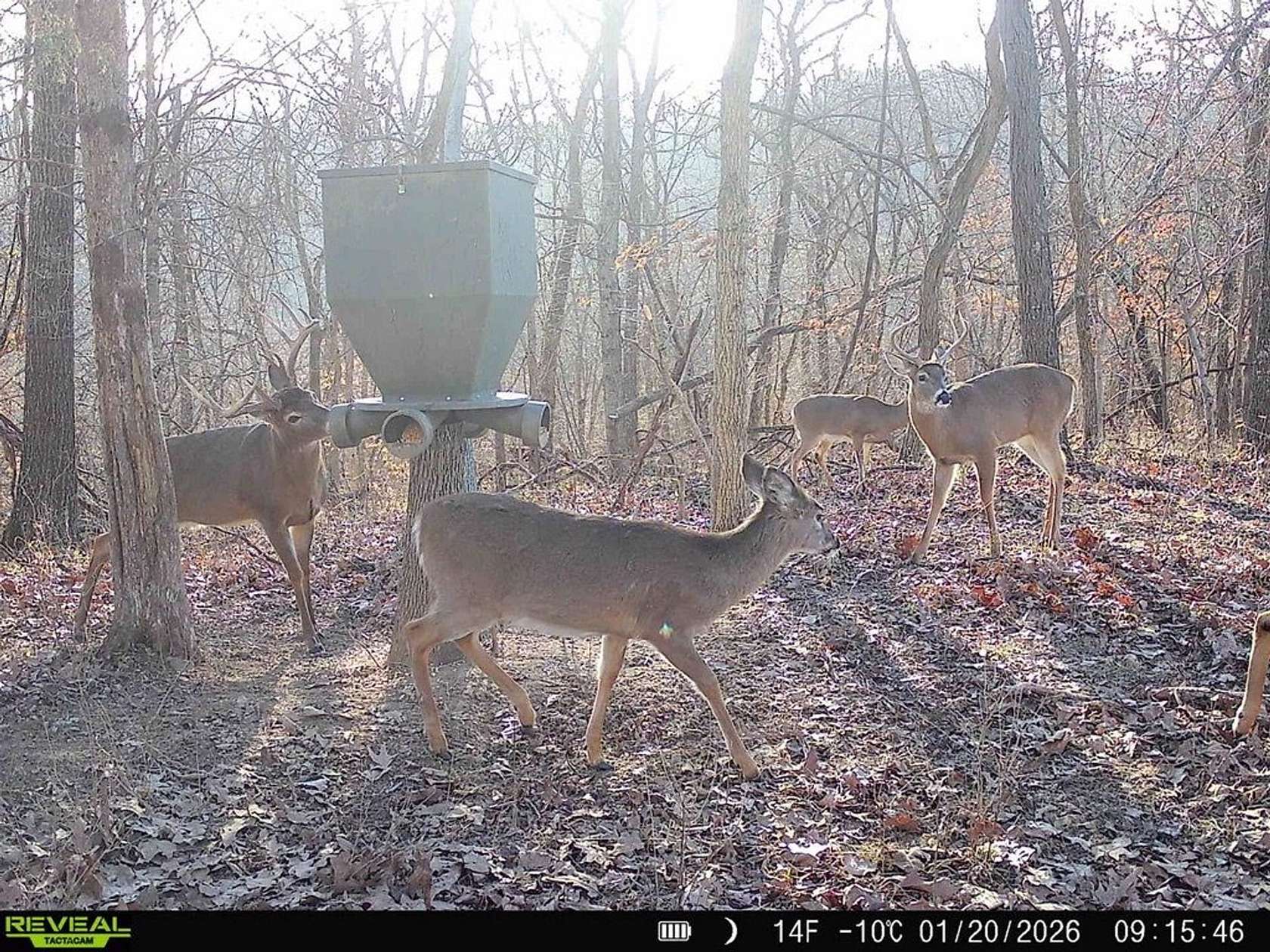 40 Acres of Recreational Land for Sale in Gallipolis, Ohio