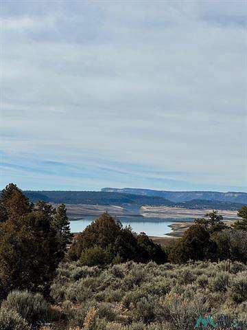 4 Acres of Land for Sale in Los Ojos, New Mexico
