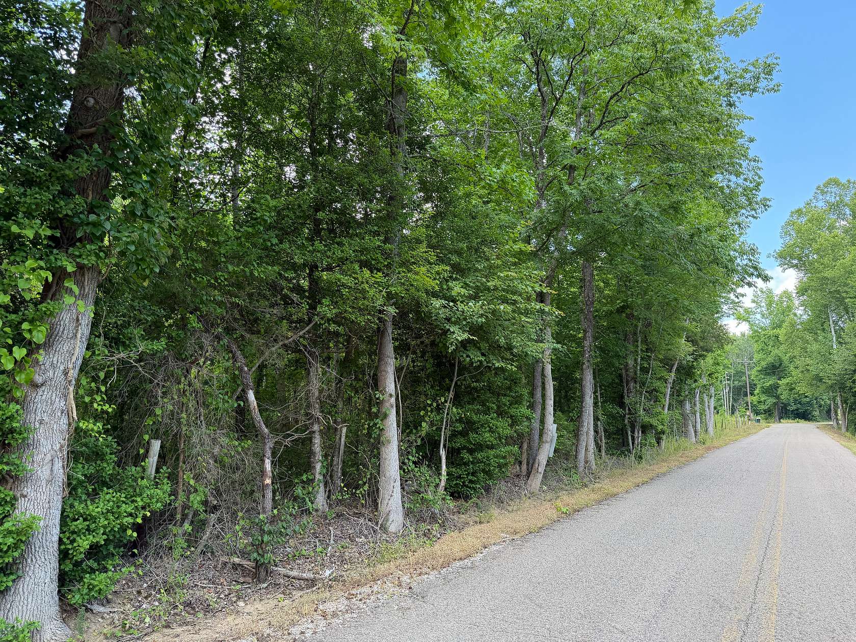 5.64 Acres of Agricultural Land for Sale in Selmer, Tennessee