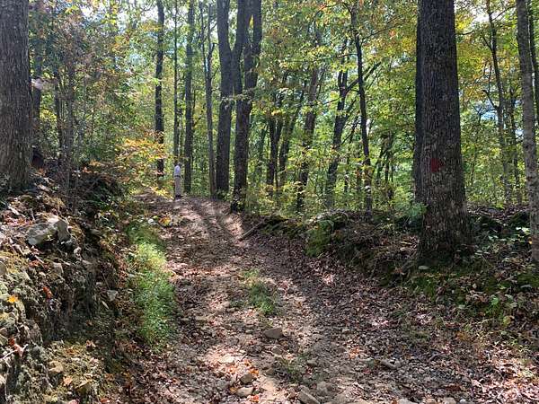 220 Acres of Recreational Land for Sale in Irvine, Kentucky