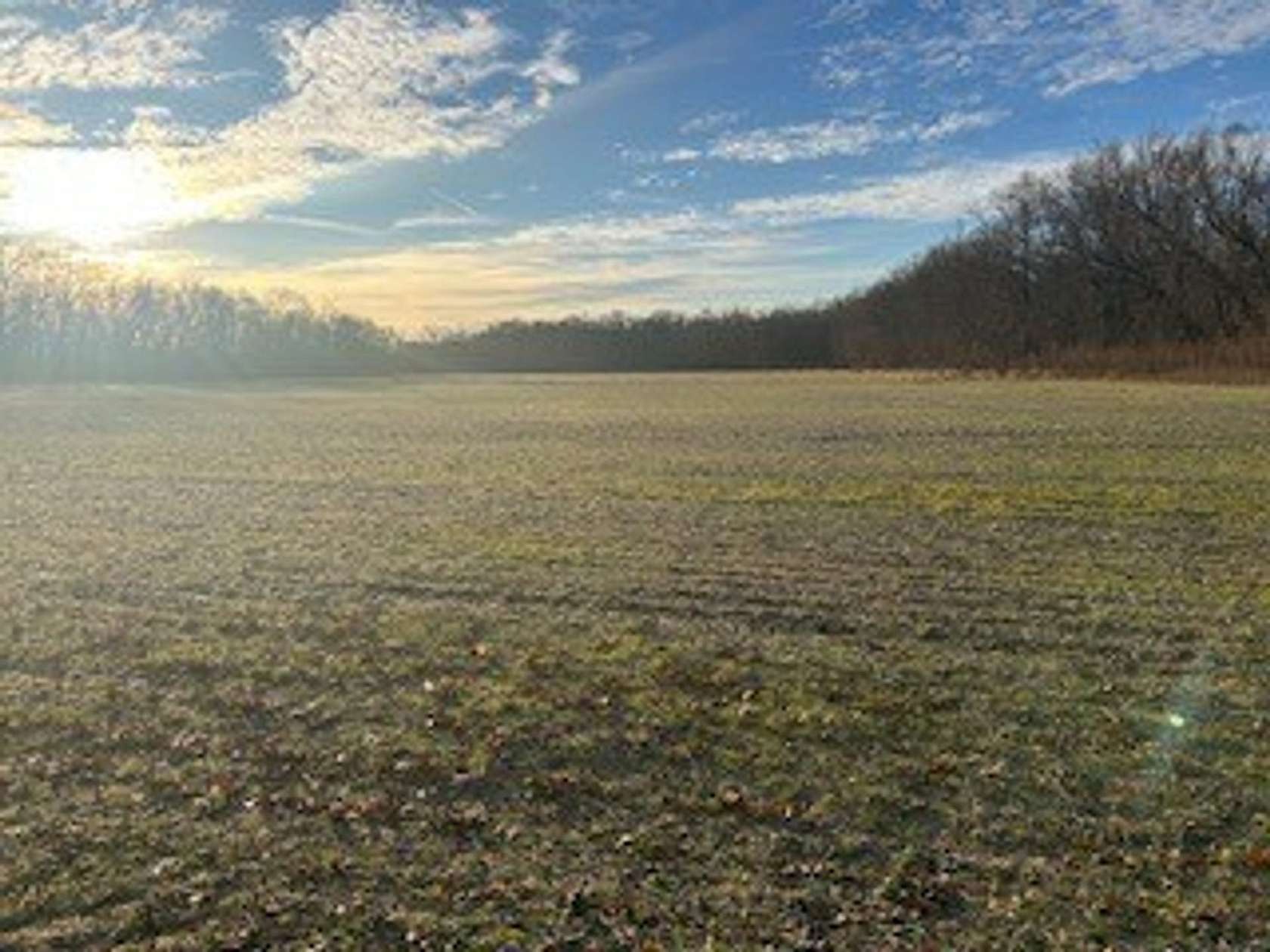 51 Acres of Recreational Land & Farm for Sale in Center Point, Indiana