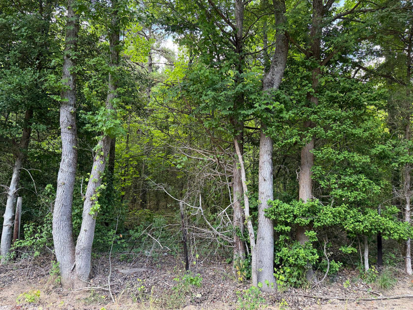 6.22 Acres of Agricultural Land for Sale in Selmer, Tennessee