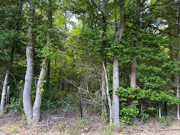 6.22 Acres of Agricultural Land for Sale in Selmer, Tennessee