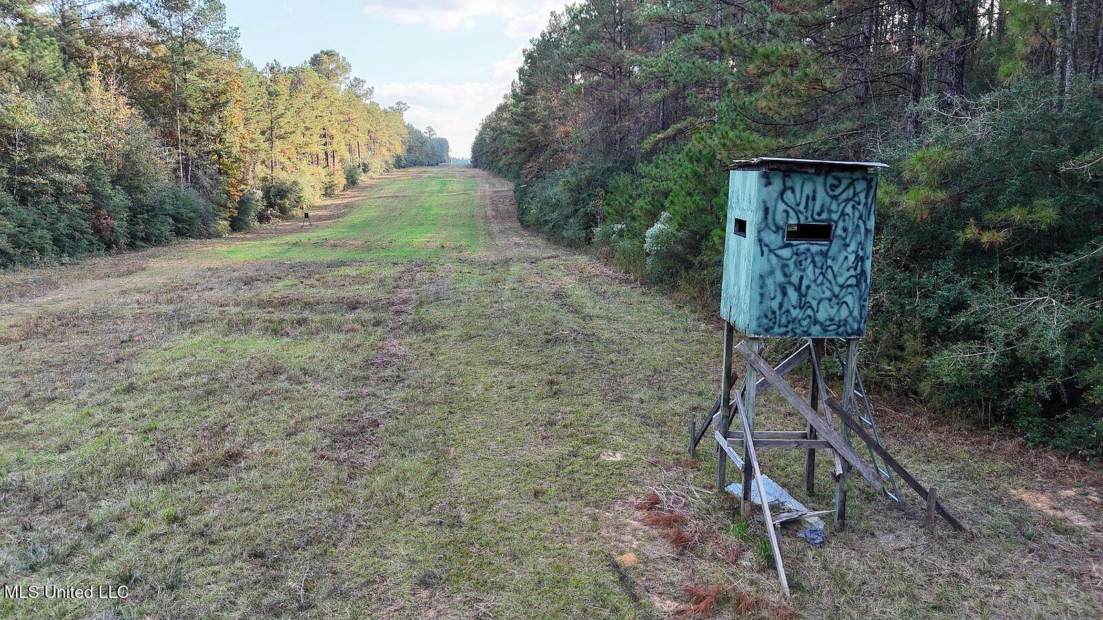 67.8 Acres of Recreational Land & Farm for Sale in Greensburg, Louisiana