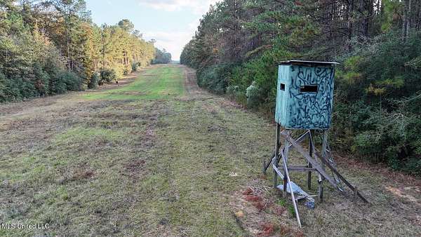 67.8 Acres of Recreational Land & Farm for Sale in Greensburg, Louisiana