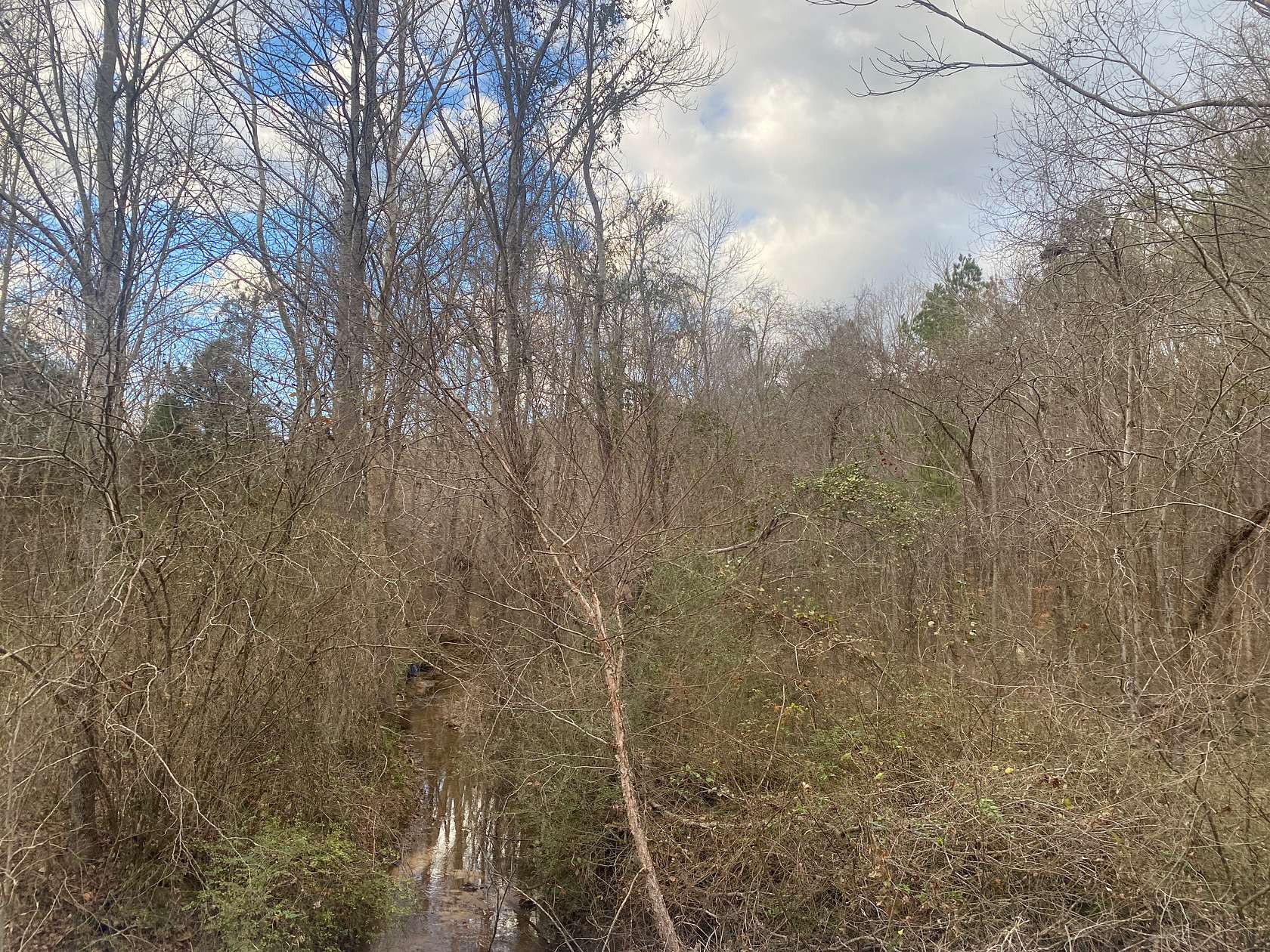 6 Acres of Agricultural Land for Sale in Selmer, Tennessee