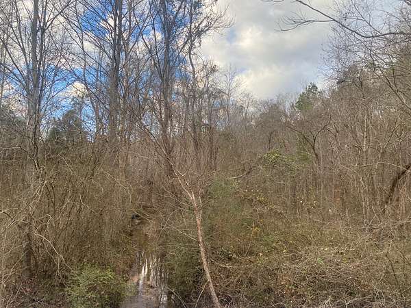 6 Acres of Agricultural Land for Sale in Selmer, Tennessee