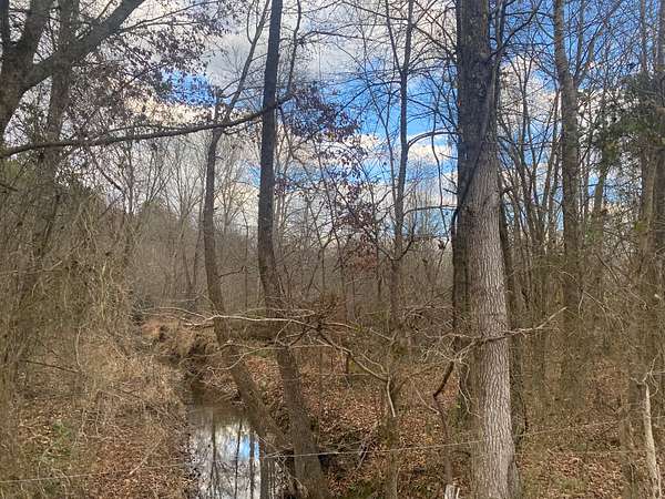 7.58 Acres of Agricultural Land for Sale in Selmer, Tennessee