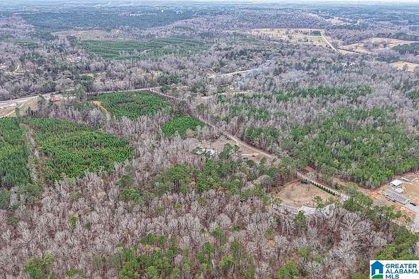 16.6 Acres of Land with Home for Sale in Columbiana, Alabama