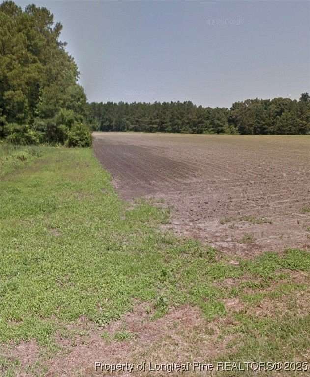 21.9 Acres of Land for Sale in Gibson, North Carolina
