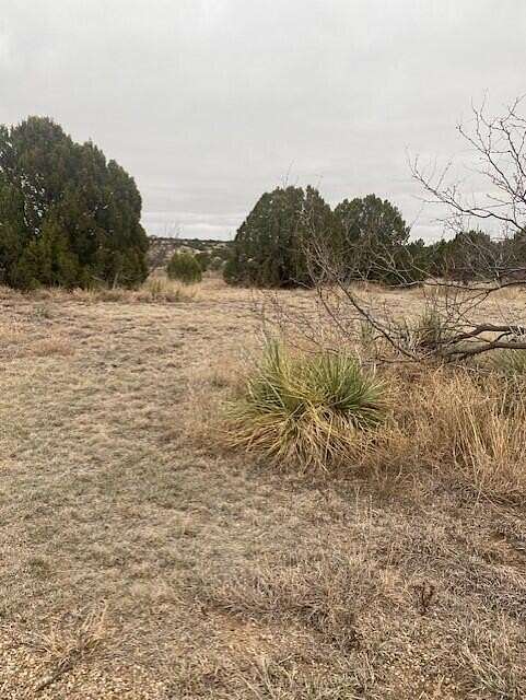2 Acres of Land for Sale in Canyon, Texas