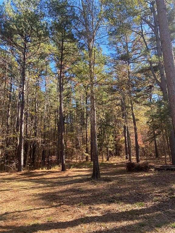 44.2 Acres of Land for Sale in Ben Wheeler, Texas