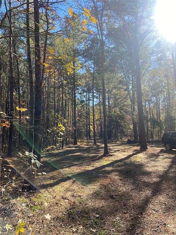 44.2 Acres of Land for Sale in Ben Wheeler, Texas