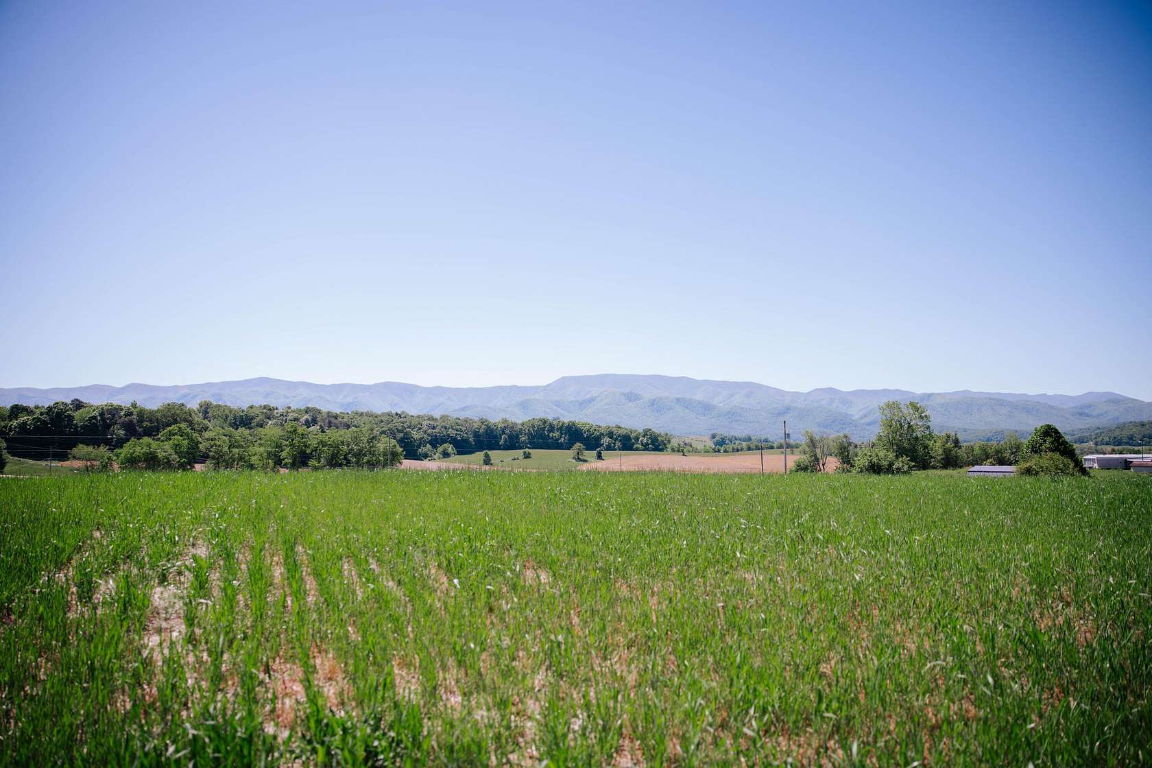 32.9 Acres of Land for Sale in Chuckey, Tennessee