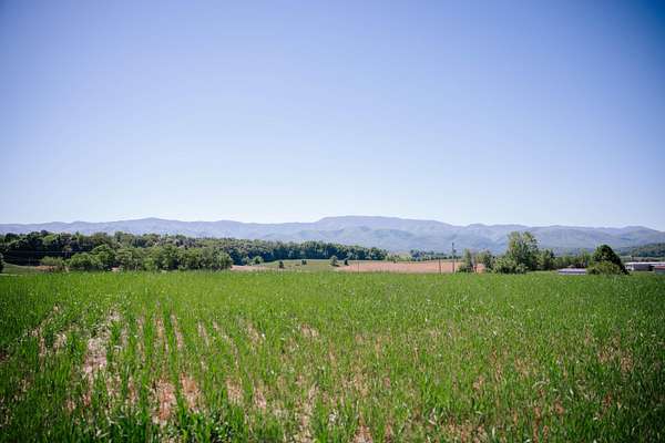 32.9 Acres of Land for Sale in Chuckey, Tennessee