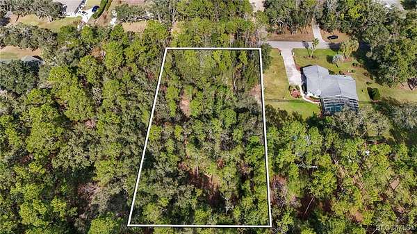 1 Acre of Residential Land for Sale in Hernando, Florida