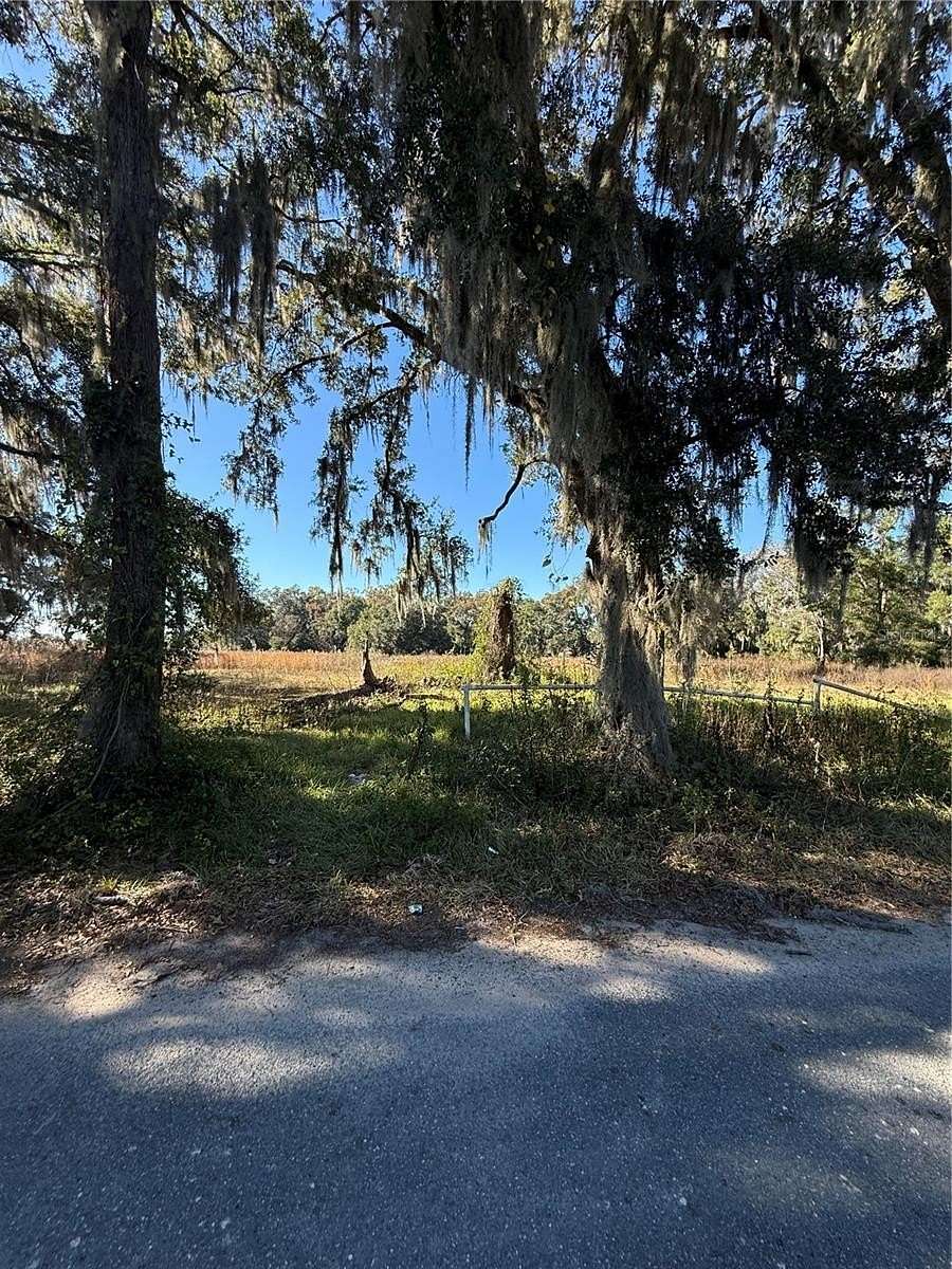 21 Acres of Agricultural Land for Sale in Ocala, Florida