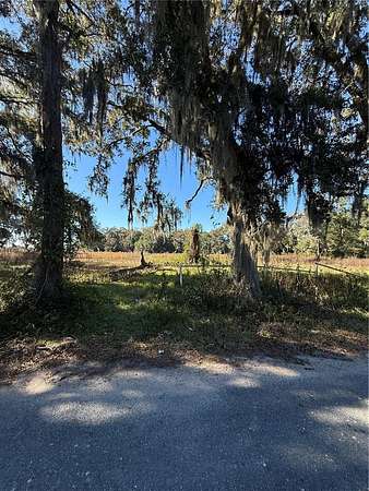 21 Acres of Agricultural Land for Sale in Ocala, Florida