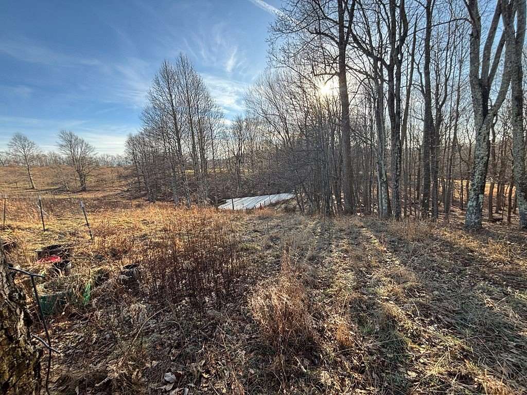 7.5 Acres of Land for Sale in Rainelle, West Virginia