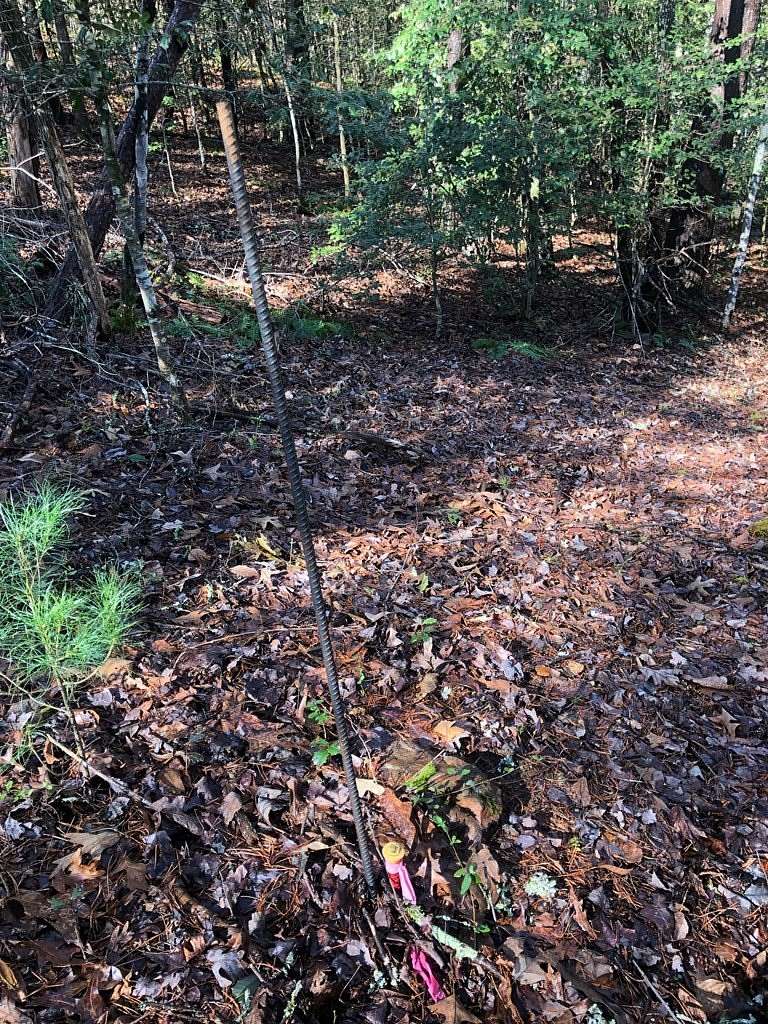 1.67 Acres of Residential Land for Sale in Sylva, North Carolina