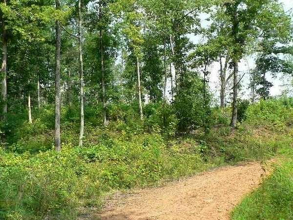 12.6 Acres of Land for Sale in Cleveland, Georgia