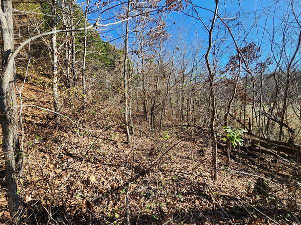 1 Acre of Residential Land for Sale in Ozark, Missouri