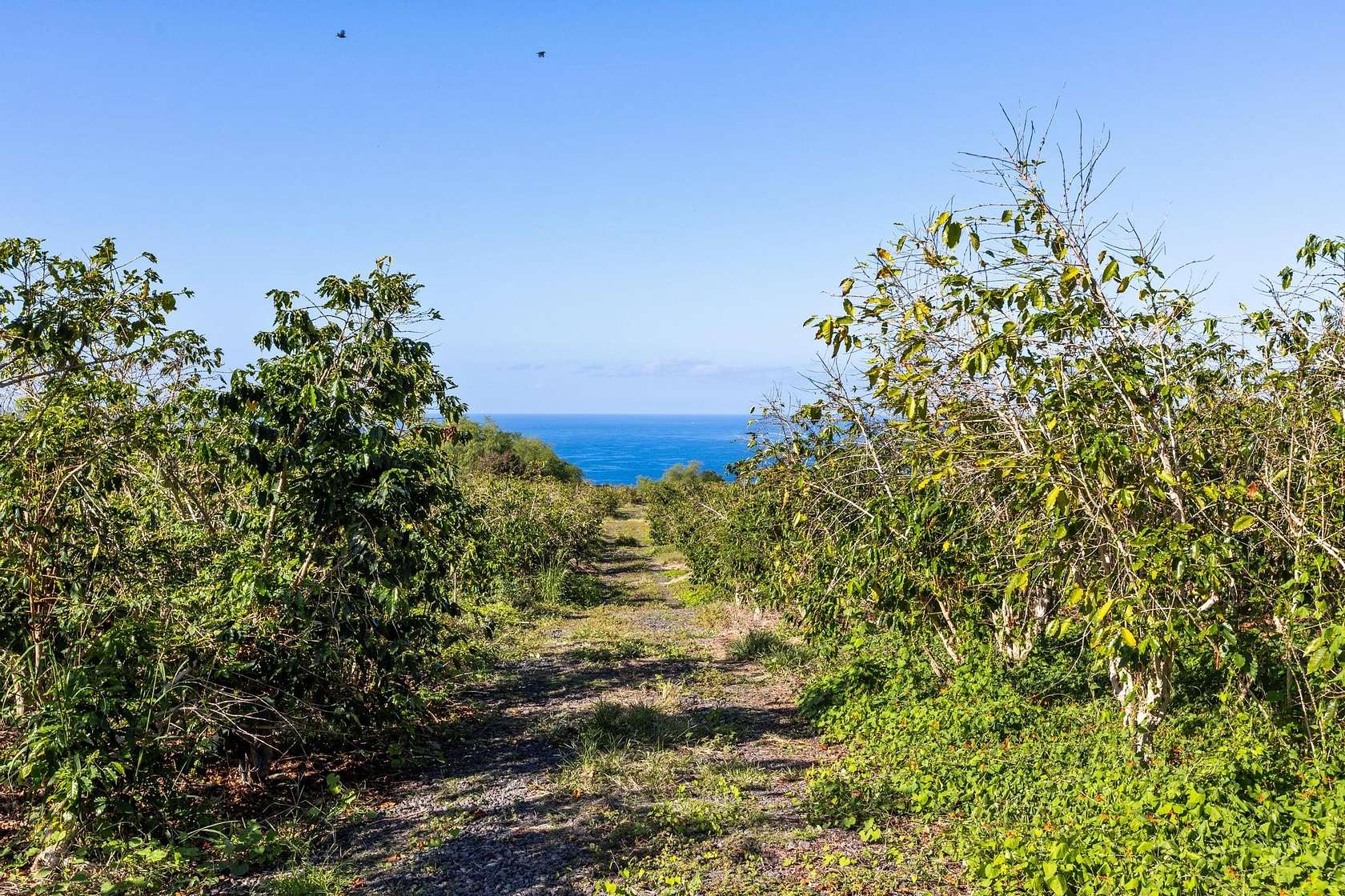5.36 Acres of Land for Sale in Captain Cook, Hawaii