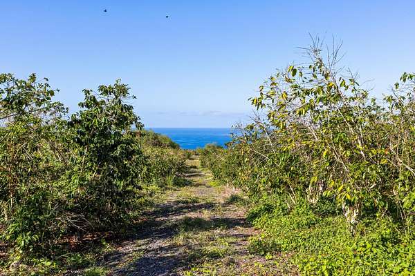 5.36 Acres of Land for Sale in Captain Cook, Hawaii