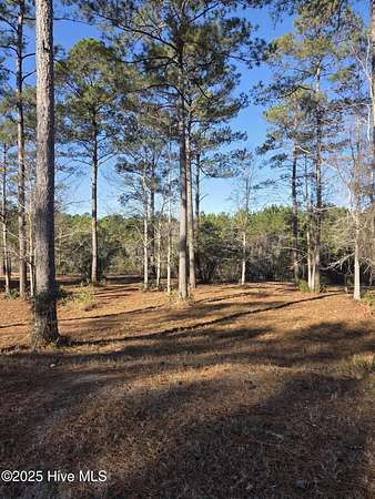 0.31 Acres of Residential Land for Sale in Sunset Beach, North Carolina