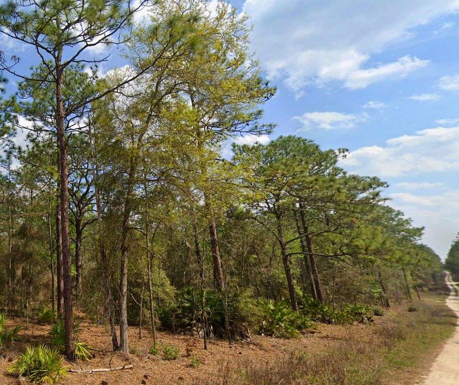 0.48 Acres of Residential Land for Sale in Ocala, Florida