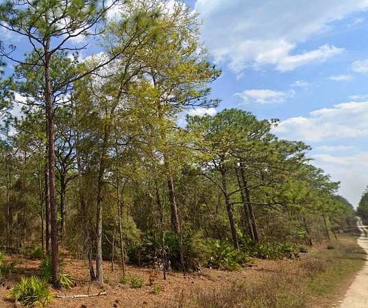 0.48 Acres of Residential Land for Sale in Ocala, Florida
