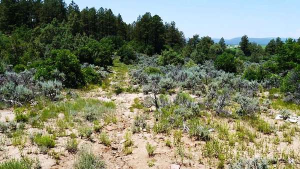 1 Acre of Residential Land for Sale in Tierra Amarilla, New Mexico