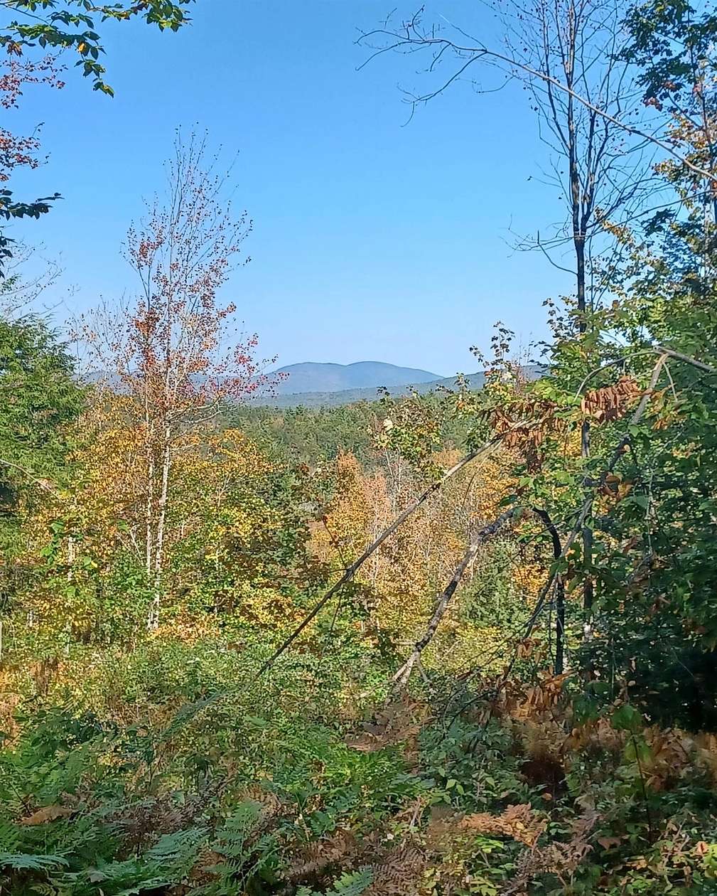 5.4 Acres of Residential Land for Sale in Wolfeboro, New Hampshire