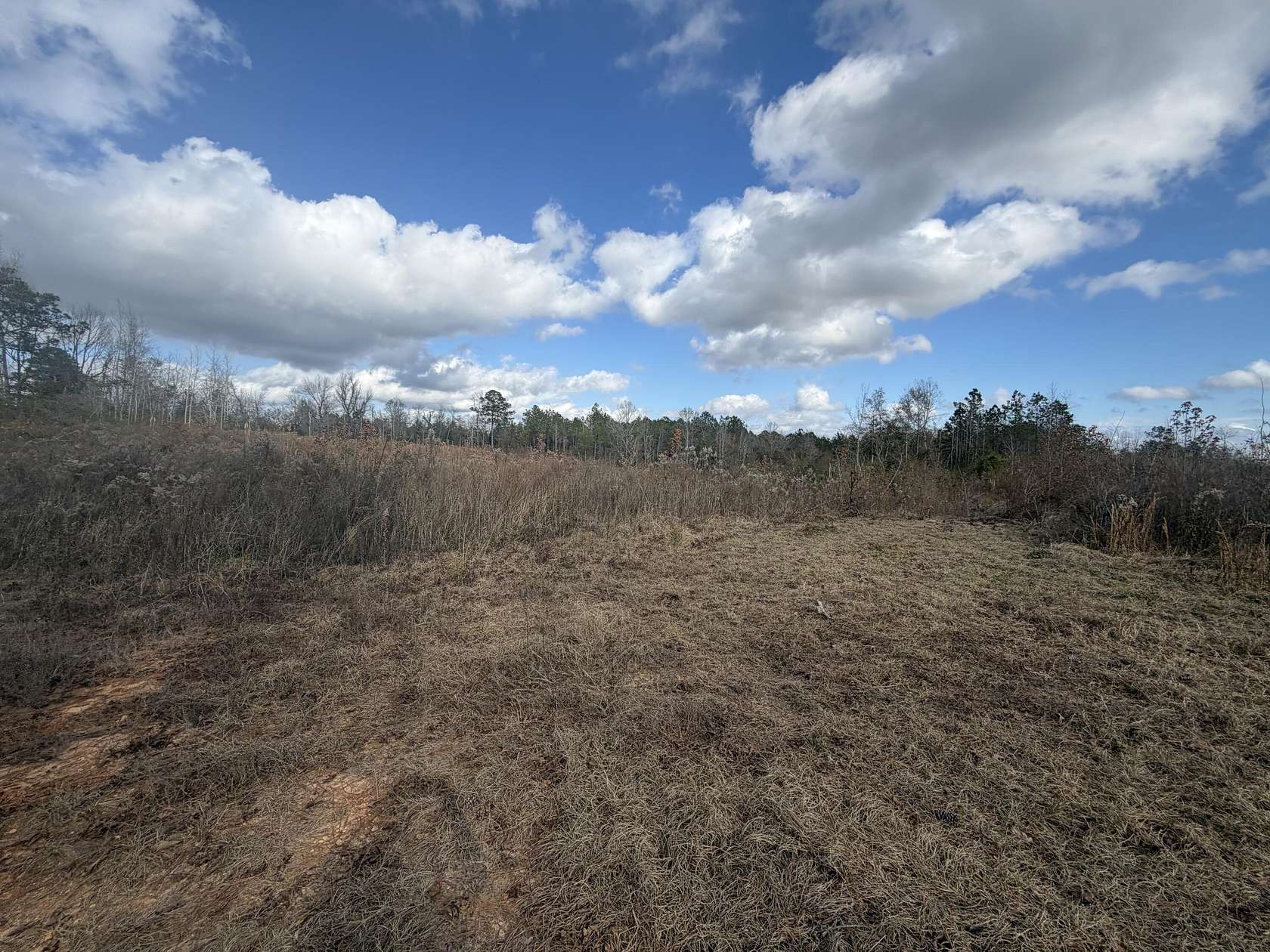 Land for Sale in Prentiss, Mississippi
