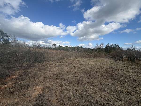 Land for Sale in Prentiss, Mississippi