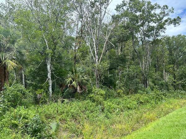 2.27 Acres of Residential Land for Sale in Hastings, Florida