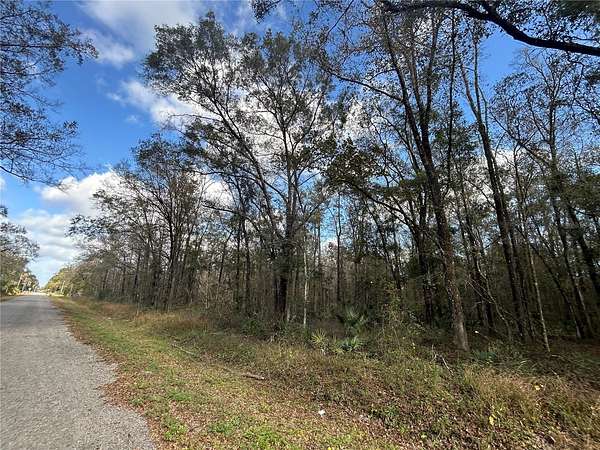 2.27 Acres of Residential Land for Sale in Hastings, Florida