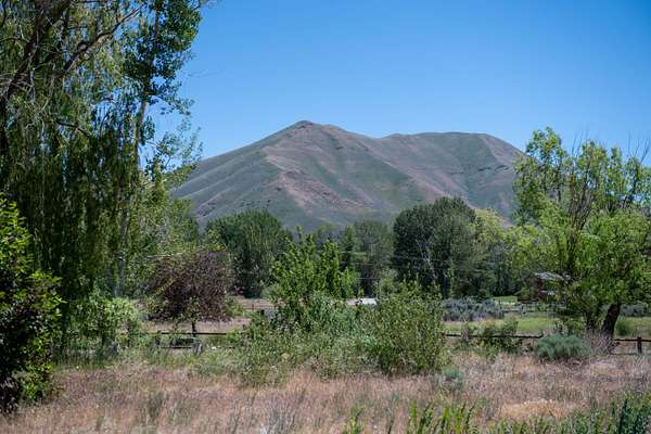 1.56 Acres of Land for Sale in Bellevue, Idaho