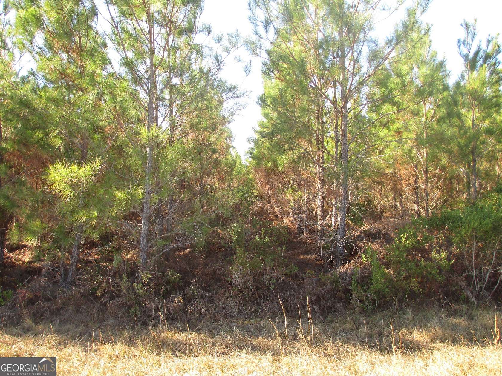 240 Acres of Recreational Land & Farm for Sale in Hazlehurst, Georgia