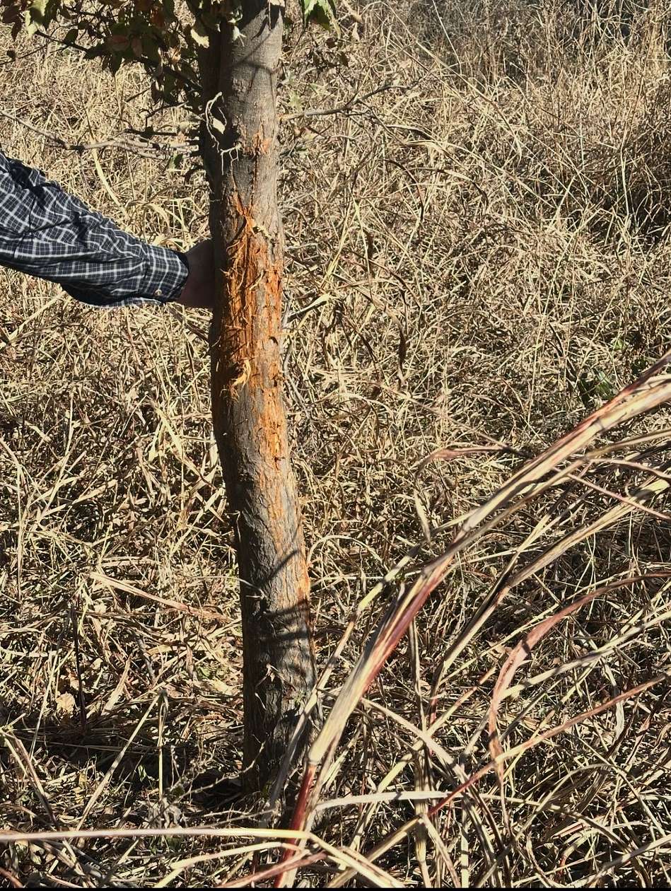 23 Acres of Recreational Land & Farm for Sale in Blackwell, Oklahoma