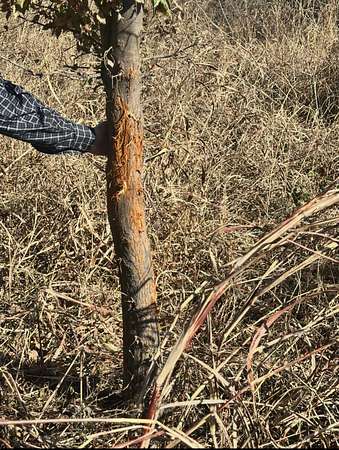 23 Acres of Recreational Land & Farm for Sale in Blackwell, Oklahoma